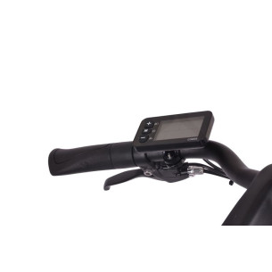 Wyświetlacz do roweru elektrycznego Denver, Orus, Indiana E8000