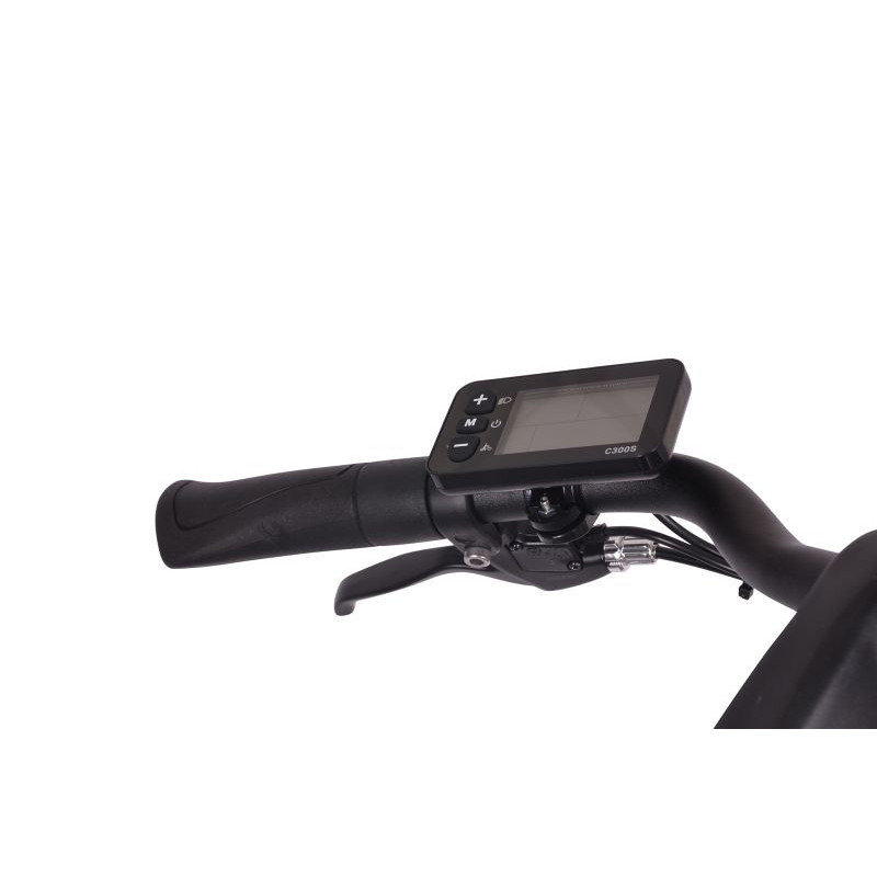 Wyświetlacz do roweru elektrycznego Denver, Orus, Indiana E8000