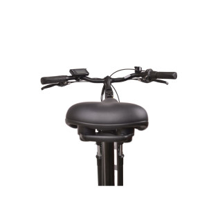 Rower elektryczny R.EVOLUTION 28 E-MOTIVE