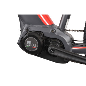 Rower elektryczny MTB SmartWay X1