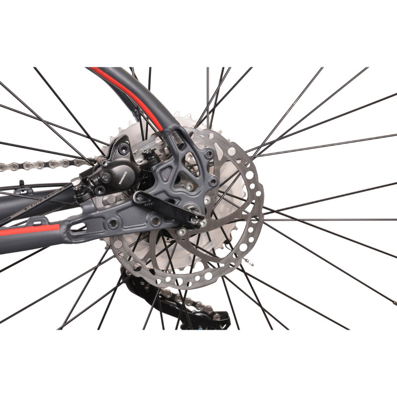 Rower elektryczny MTB SmartWay X1