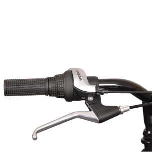 Rower miejski Esperia Devon, liliowy