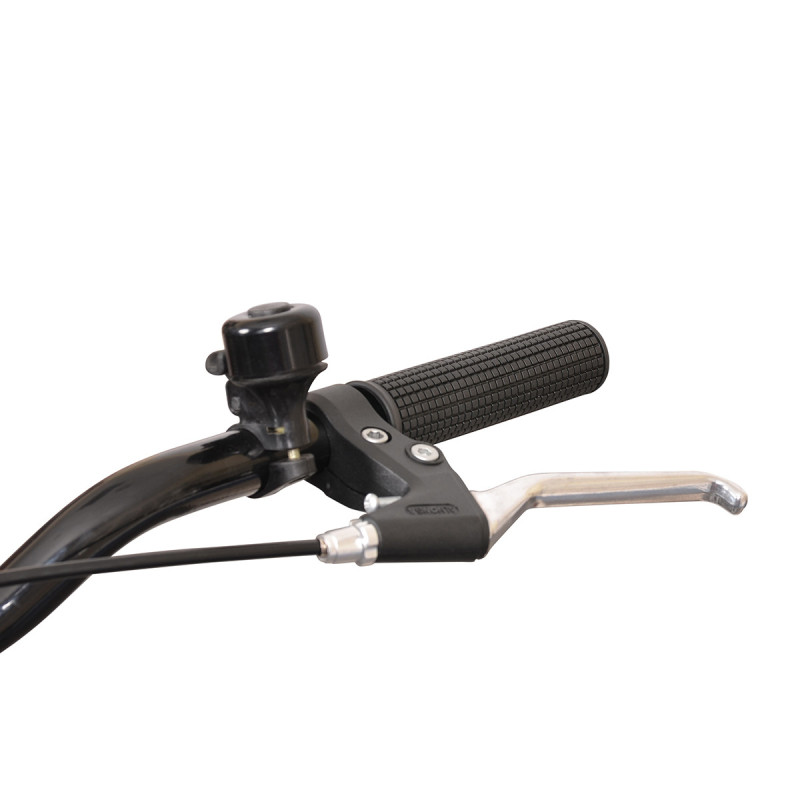 Rower miejski Esperia Devon, liliowy