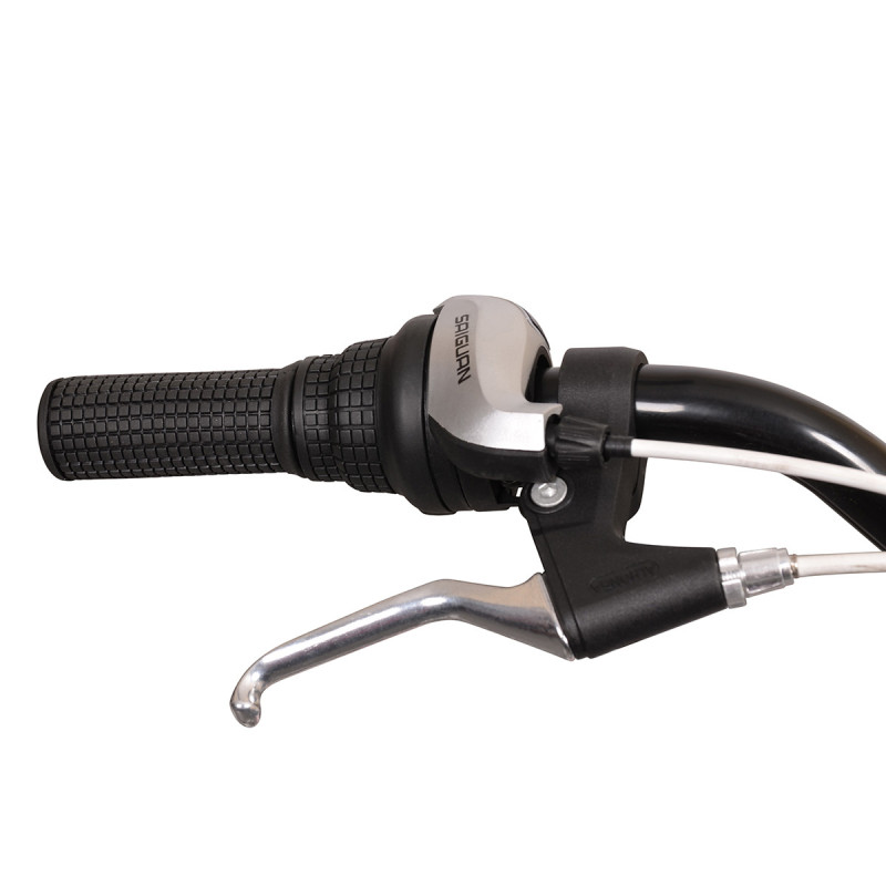 Rower miejski Esperia CTB24, 6s, fuksja