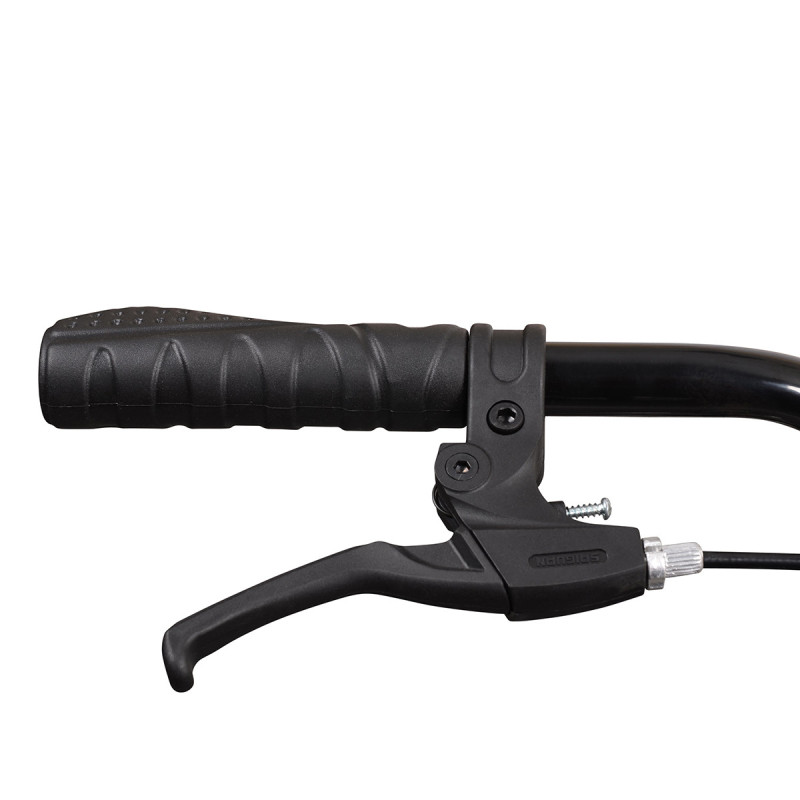 Rower miejski Esperia Siviglia Life Green, czarny