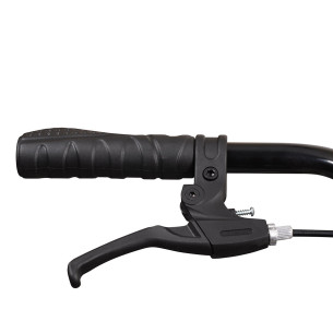 Rower miejski Esperia Siviglia Life Green, biały