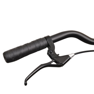 Rower składany Esperia, 1s, niebieski