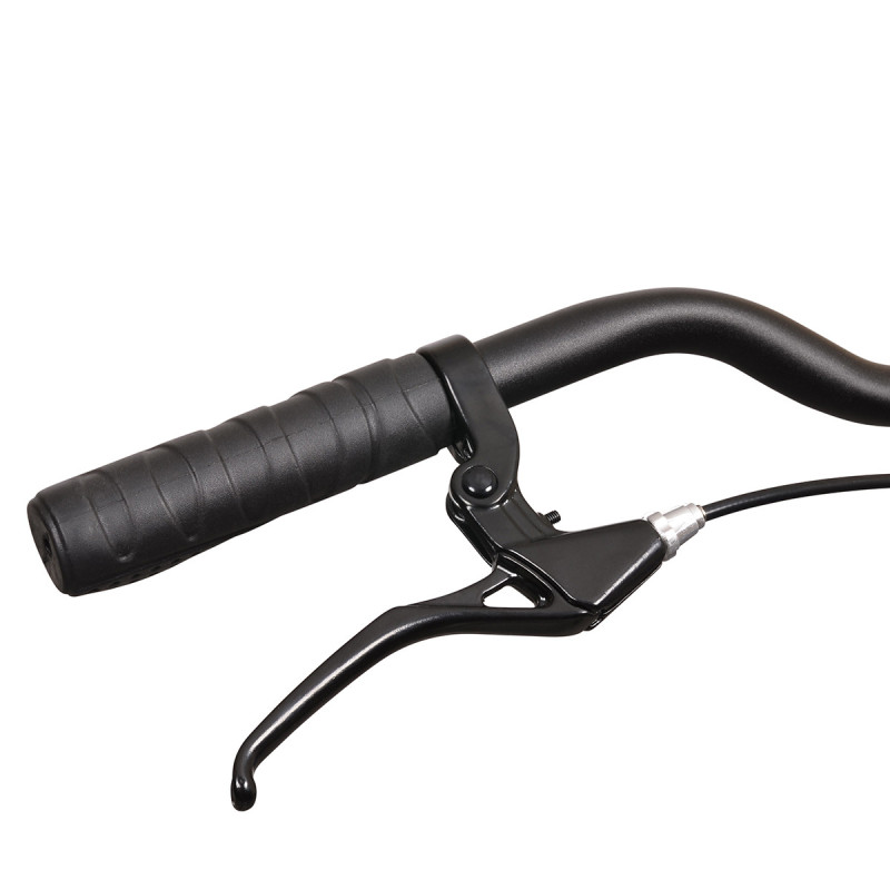 Rower składany Esperia, 1s, niebieski