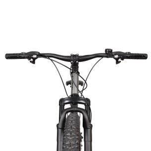 Rower MTB 29" Esperia ITEK szary 24s TY300 DISK 48cm