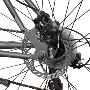 Rower MTB 29" Esperia ITEK szary 24s TY300 DISK 48cm