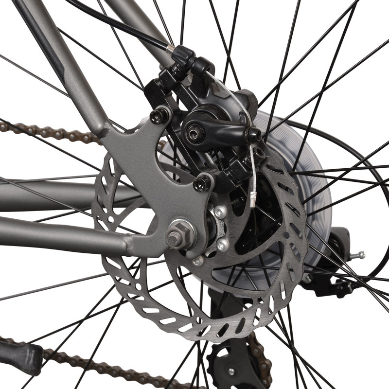 Rower MTB 29" Esperia ITEK szary 24s TY300 DISK 48cm