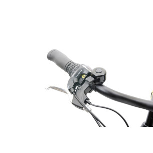 Rower elektryczny ORUS E8000