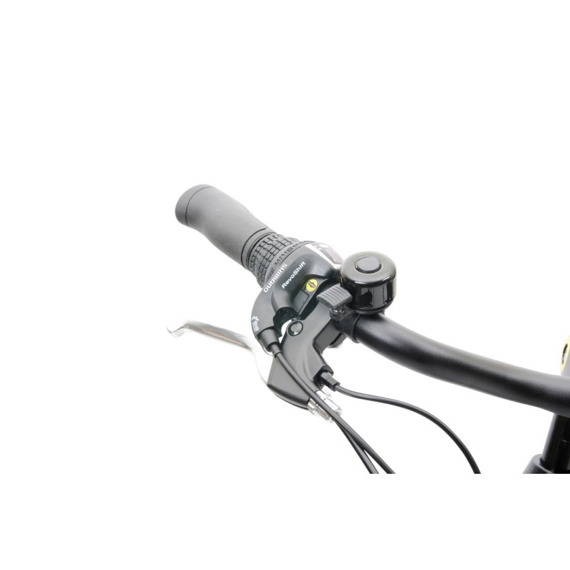 Rower elektryczny ORUS E8000