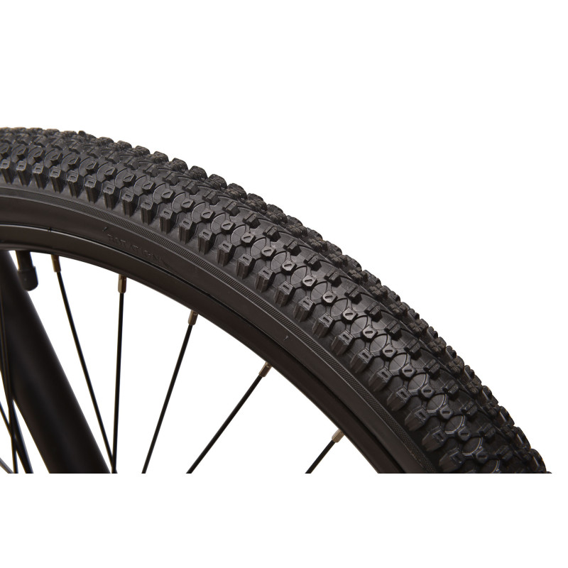 Rower elektryczny ORUS E3000