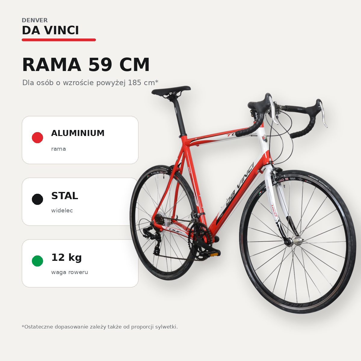 Aluminiowa rama 59 cm i stalowy widelec roweru Denver Da Vinci